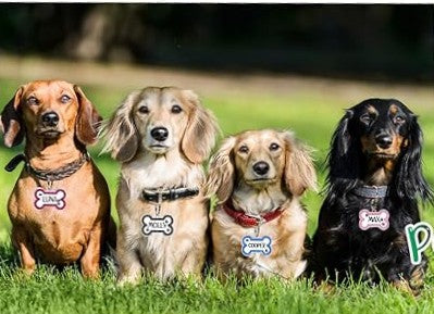 Personalized Glitter Bone-Shaped Pet ID Tags – Custom Engraving for Dogs & Cats | 12 Sparkling Colors